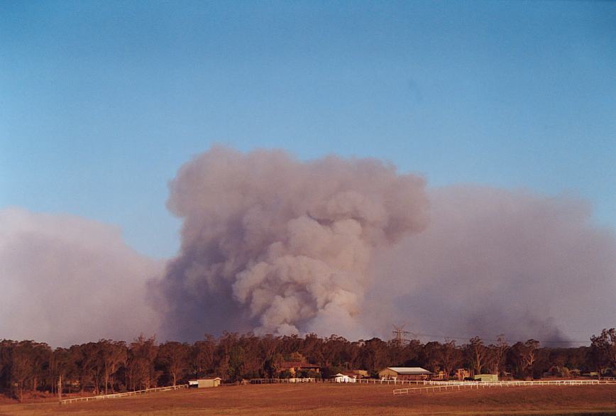 bushfire wild_fire : Pittown, NSW   4 December 2002