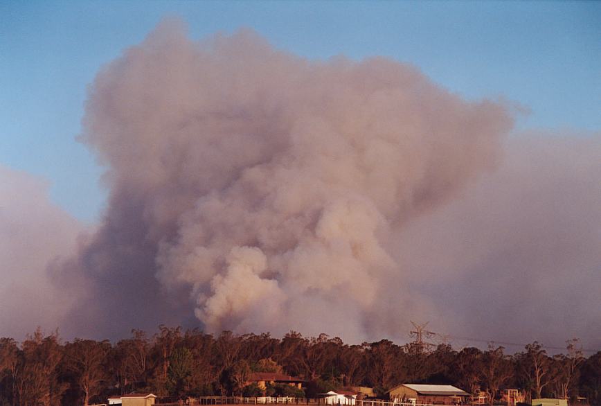 bushfire wild_fire : Pittown, NSW   4 December 2002