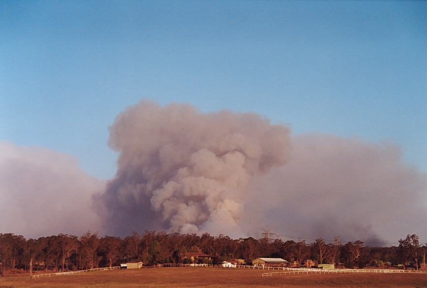 bushfire wild_fire : Pittown, NSW   4 December 2002