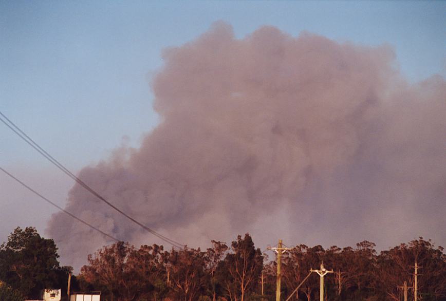 bushfire wild_fire : Pittown, NSW   4 December 2002