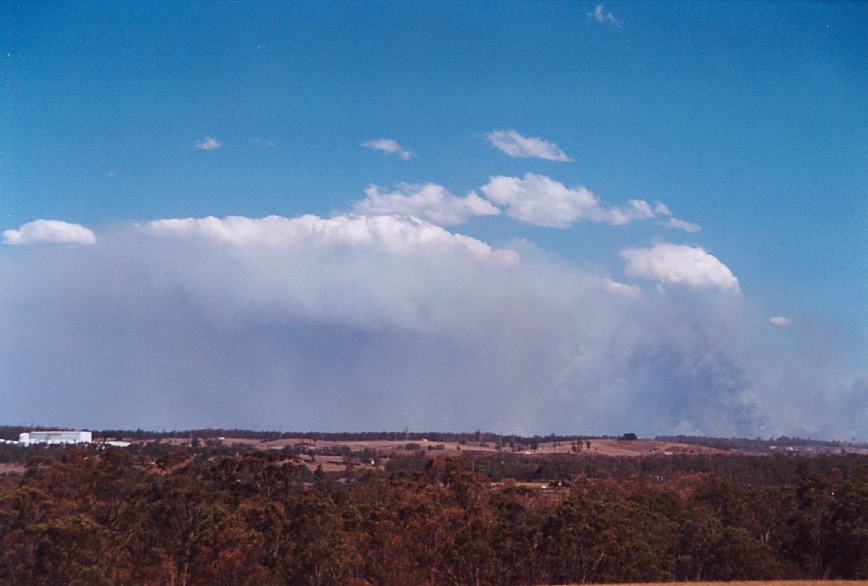 bushfire wild_fire : Rooty Hill, NSW   5 December 2002