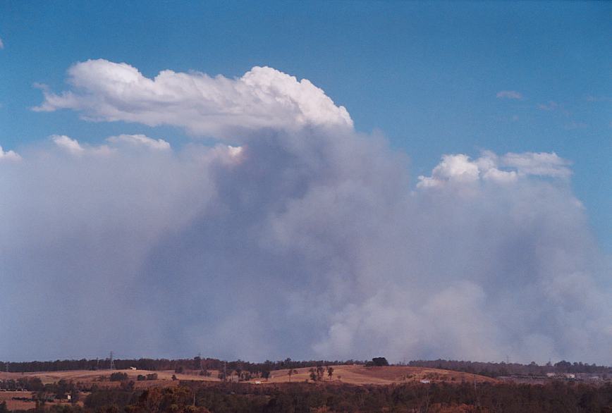 bushfire wild_fire : Rooty Hill, NSW   5 December 2002