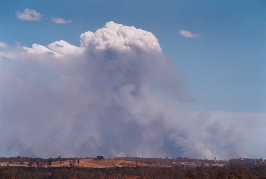 cumulus pyrocumulus : Rooty Hill, NSW   5 December 2002