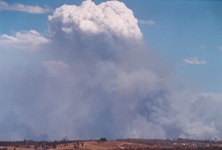 bushfire wild_fire : Rooty Hill, NSW   5 December 2002