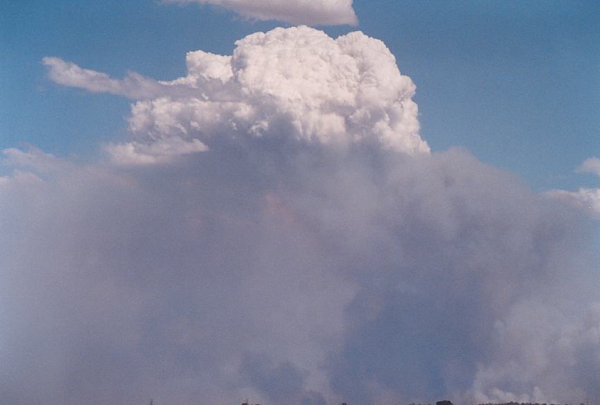 bushfire wild_fire : Rooty Hill, NSW   5 December 2002