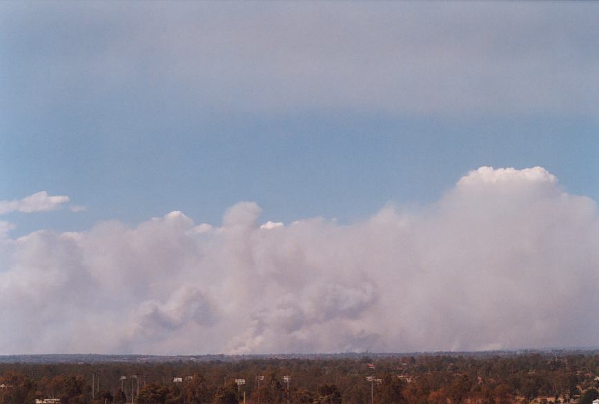 bushfire wild_fire : Rooty Hill, NSW   5 December 2002