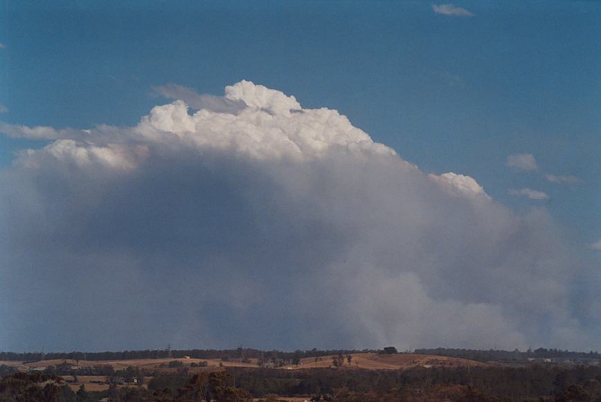 cumulus pyrocumulus : Rooty Hill, NSW   5 December 2002