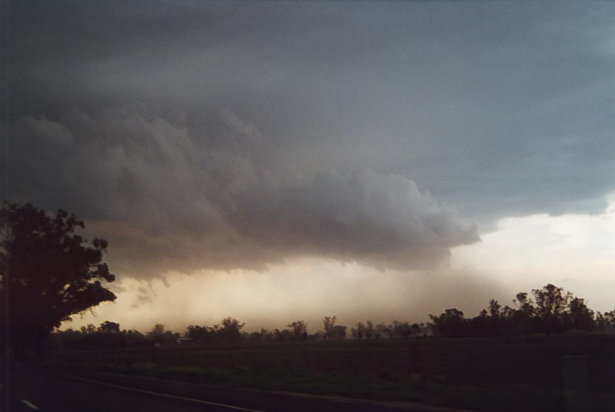 cumulonimbus supercell_thunderstorm : N of Gunnedah, NSW   23 December 2002