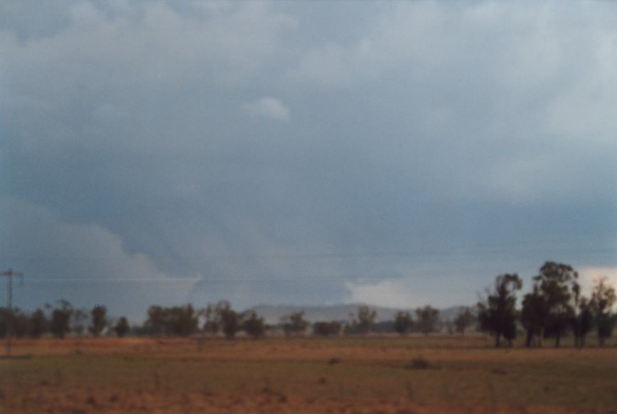 cumulonimbus supercell_thunderstorm : N of Boggabri, NSW   23 December 2002