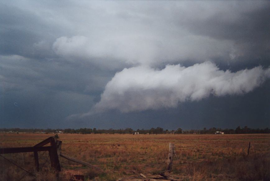 cumulonimbus supercell_thunderstorm : Narrabri, NSW   23 December 2002