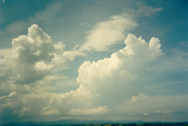 thunderstorm cumulonimbus_calvus : McLeans Ridges, NSW   24 December 2002