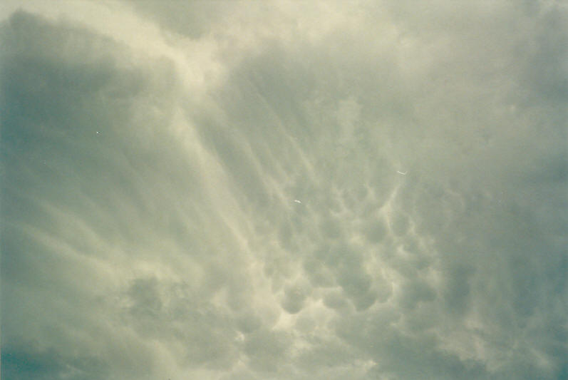 mammatus mammatus_cloud : McLeans Ridges, NSW   24 December 2002