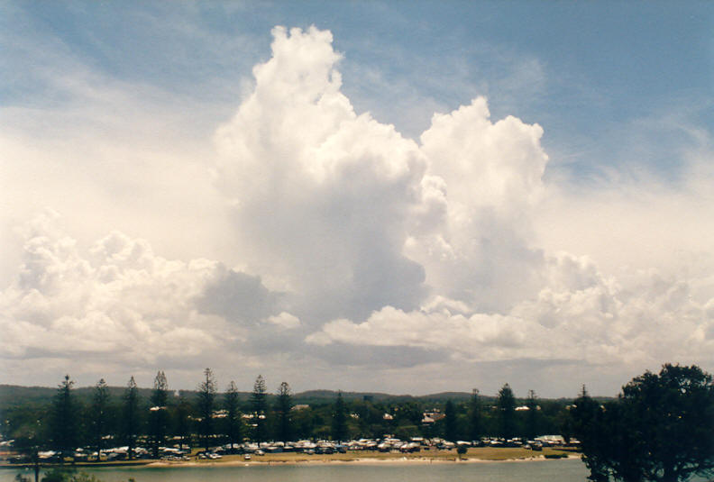 cumulus congestus : Evans Head, NSW   25 December 2002