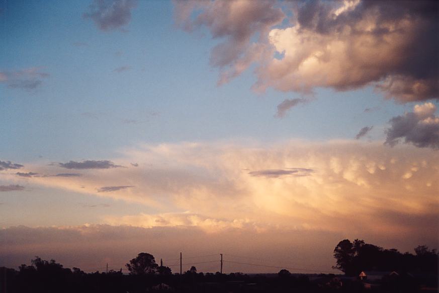 contributions received : Schofields, NSW<BR>Photo by Geoffrey Thurtell   7 January 2003