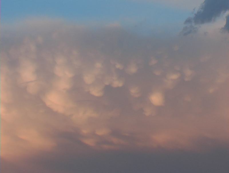 mammatus mammatus_cloud : Schofields, NSW   7 January 2003