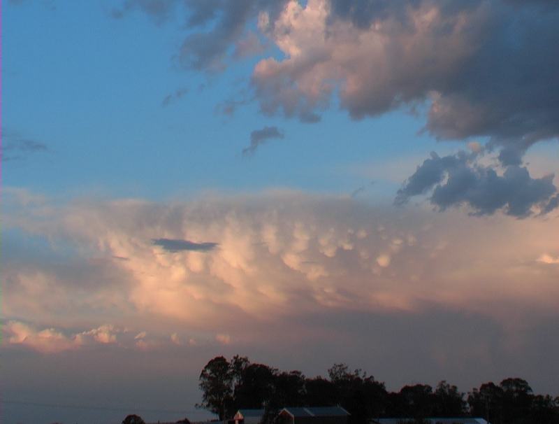 mammatus mammatus_cloud : Schofields, NSW   7 January 2003