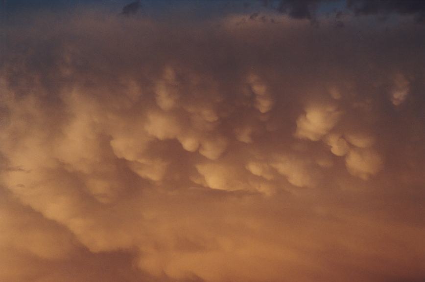 mammatus mammatus_cloud : Schofields, NSW   7 January 2003