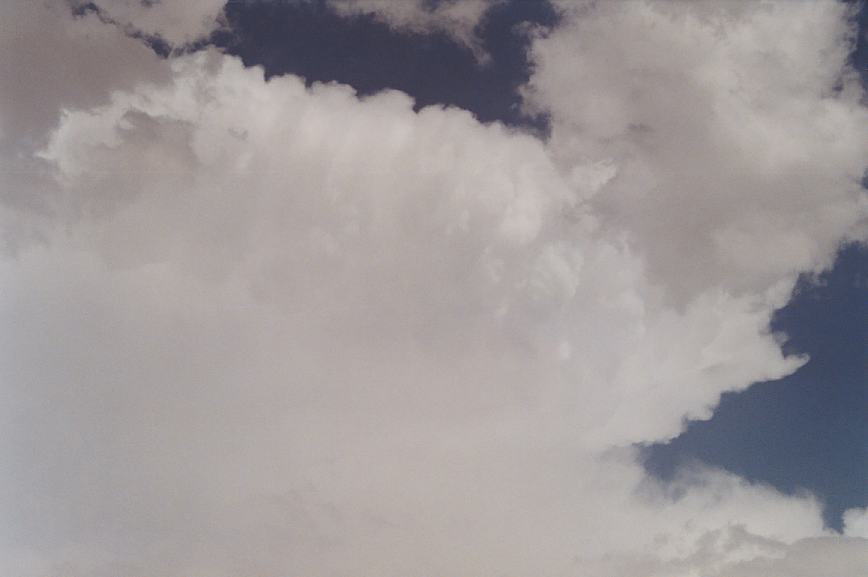 thunderstorm cumulonimbus_incus : Bowral, NSW   8 January 2003