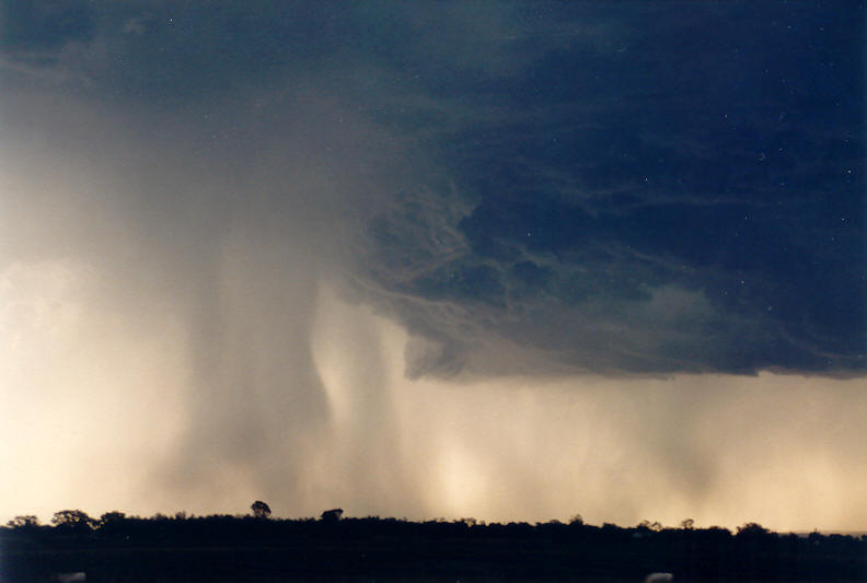 raincascade precipitation_cascade : Parrots Nest, NSW   8 January 2003