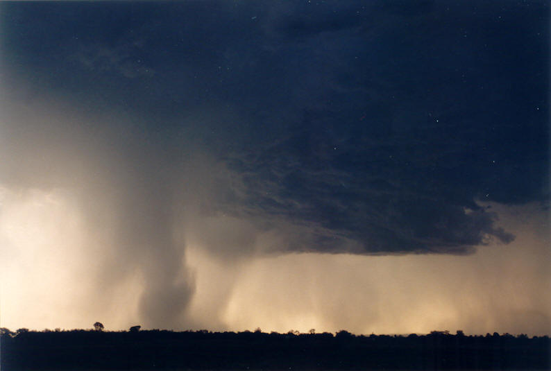 raincascade precipitation_cascade : Parrots Nest, NSW   8 January 2003