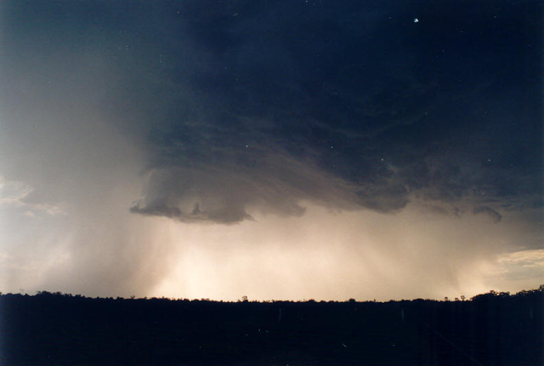 microburst micro_burst : Parrots Nest, NSW   8 January 2003