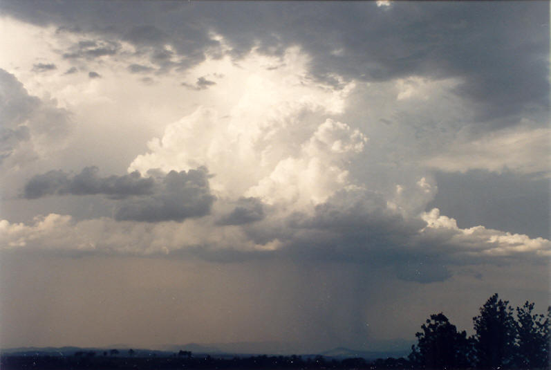 cumulus congestus : Kyogle, NSW   19 January 2003