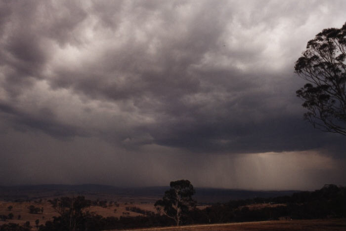 contributions received : Bathurst, NSW<BR>Photo by Jeff Brislane   8 February 2003