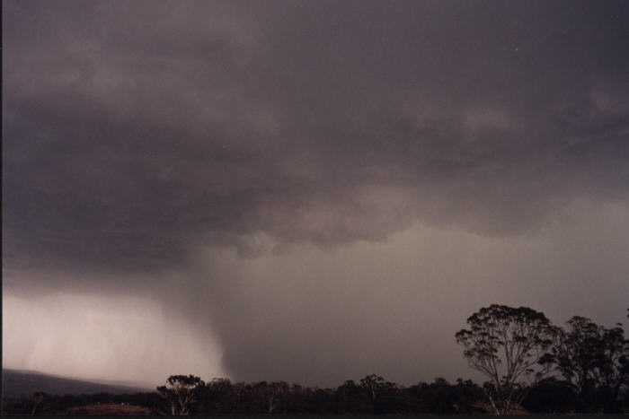 contributions received : Bathurst, NSW<BR>Photo by Jeff Brislane   8 February 2003