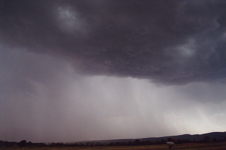 cumulonimbus thunderstorm_base : Agnes Banks, NSW   12 February 2003