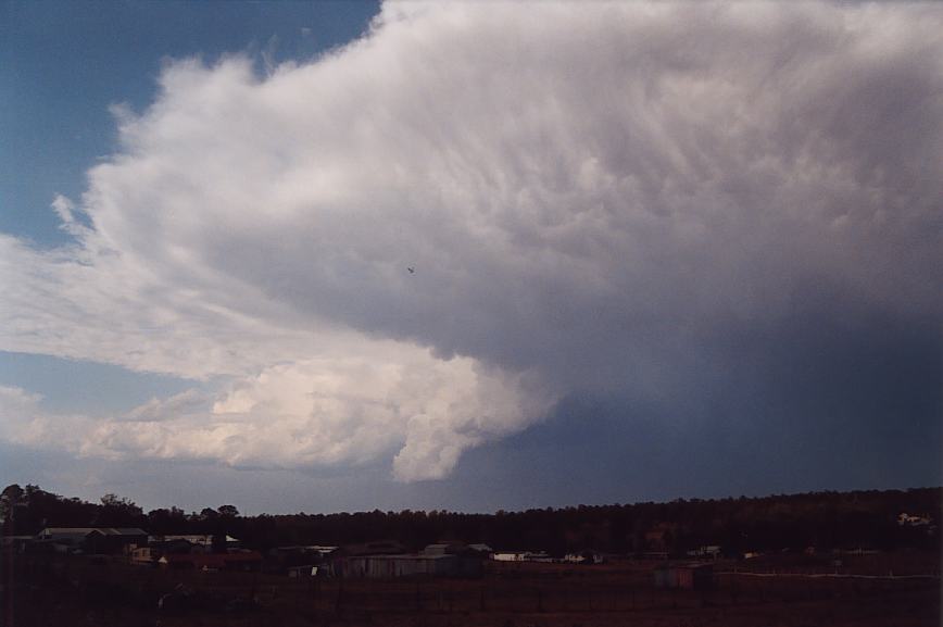 anvil thunderstorm_anvils : Schofields, NSW   12 February 2003