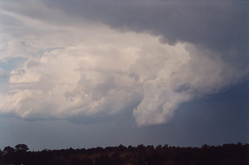 cumulonimbus thunderstorm_base : Schofields, NSW   12 February 2003