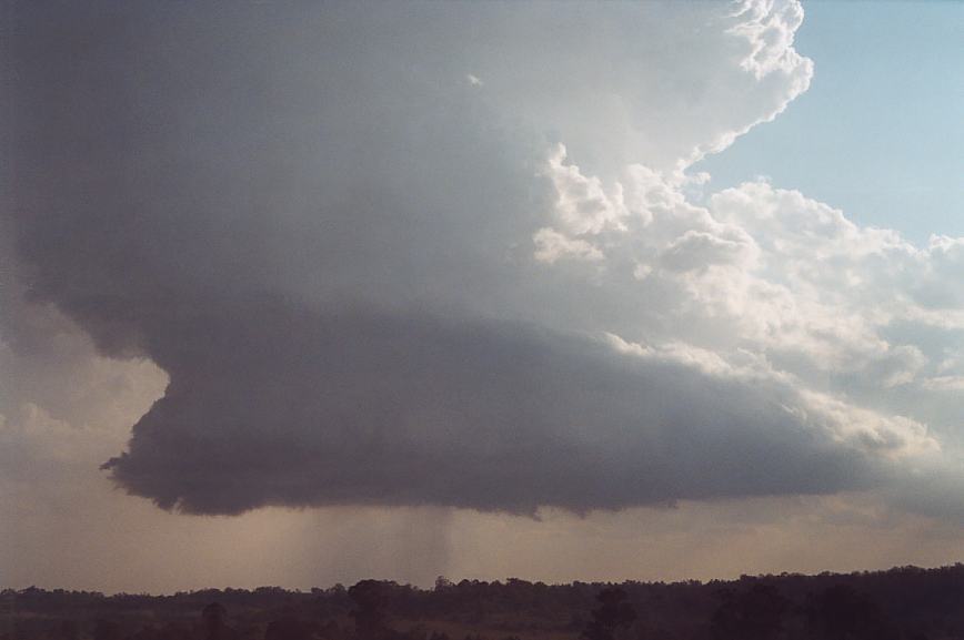 wallcloud thunderstorm_wall_cloud : Camden, NSW   12 February 2003