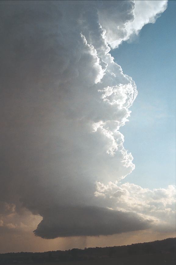 thunderstorm cumulonimbus_incus : Camden, NSW   12 February 2003