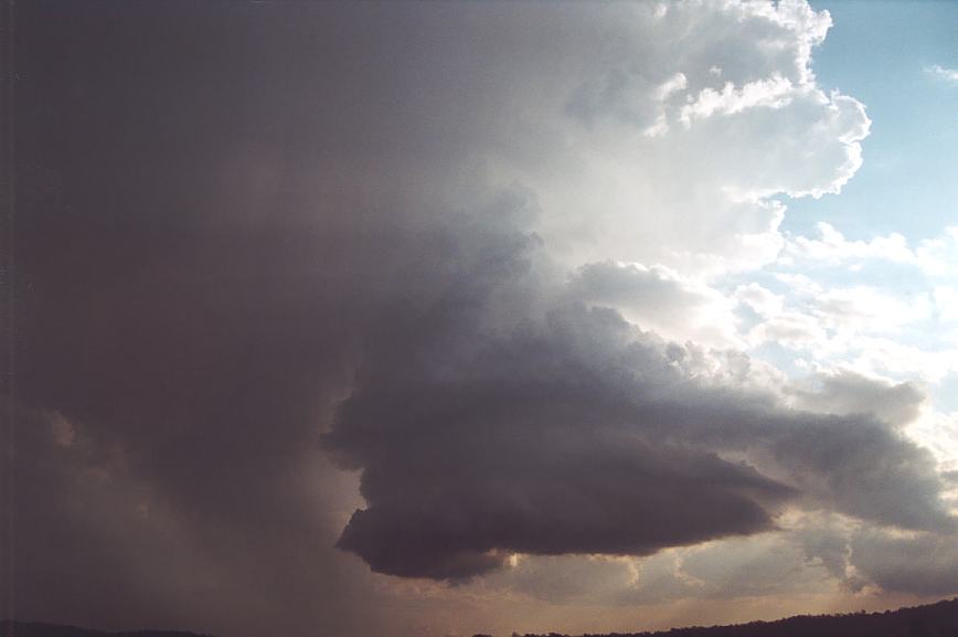 wallcloud thunderstorm_wall_cloud : Camden, NSW   12 February 2003