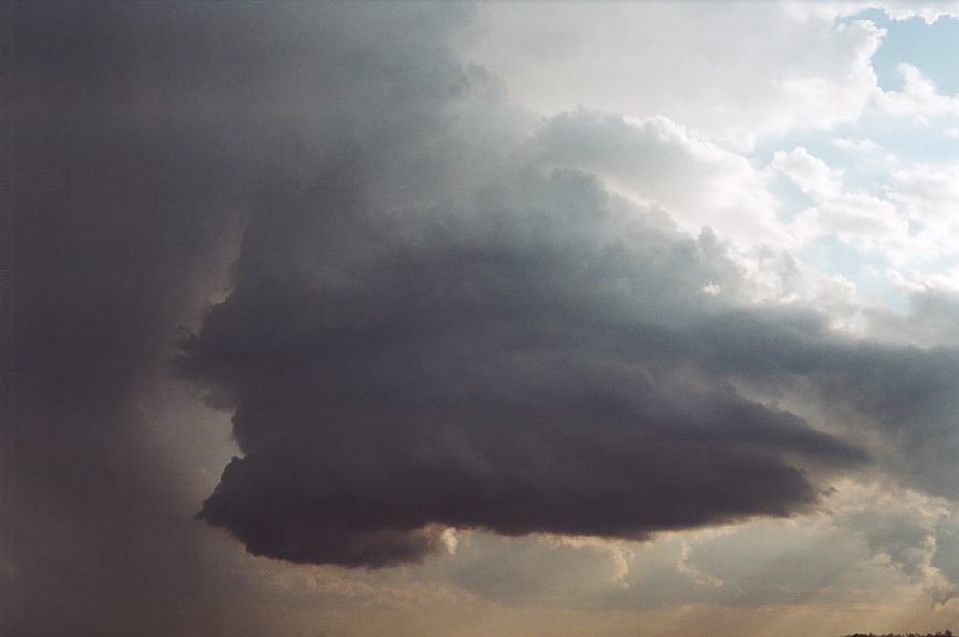 wallcloud thunderstorm_wall_cloud : Camden, NSW   12 February 2003