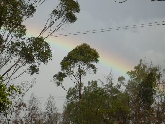 contributions received : Buxton, NSW<BR>Photo by Peter Belobrajic   12 February 2003
