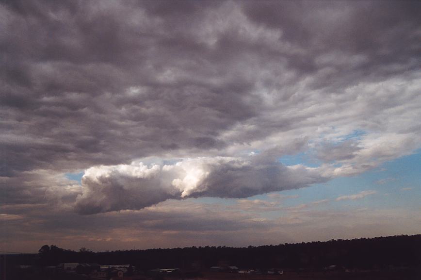 stratocumulus stratocumulus_cloud : Schofields, NSW   13 February 2003