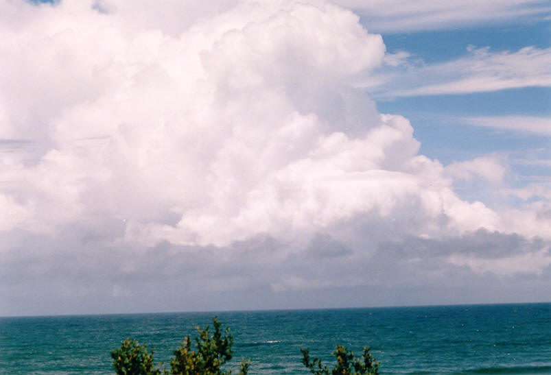 contributions received : Evans Head, NSW<BR>Photo by John Bath   23 February 2003