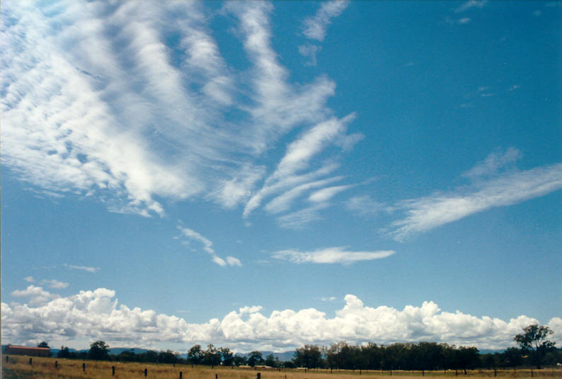 cumulus congestus : SE QLD   23 February 2003