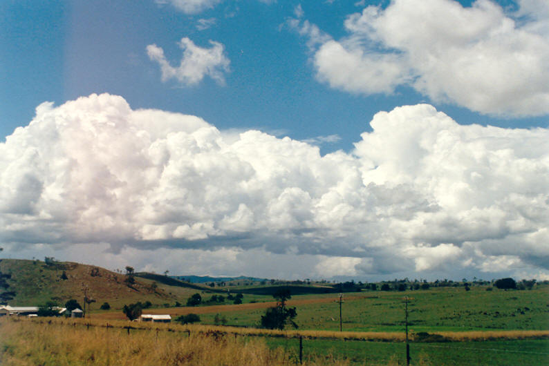 cumulus congestus : Tenterfield, NSW   23 February 2003