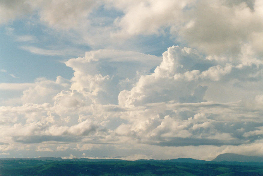 thunderstorm cumulonimbus_incus : McLeans Ridges, NSW   23 February 2003