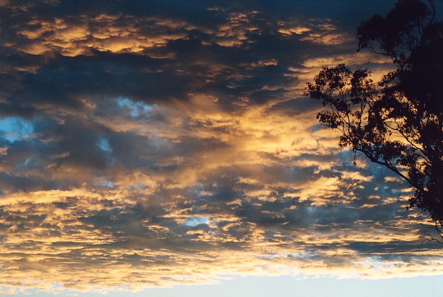 sunset sunset_pictures : Schofields, NSW   28 February 2003