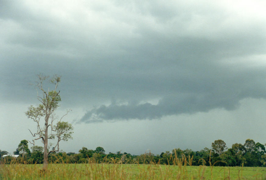 cumulonimbus thunderstorm_base : E of Casino, NSW   1 March 2003