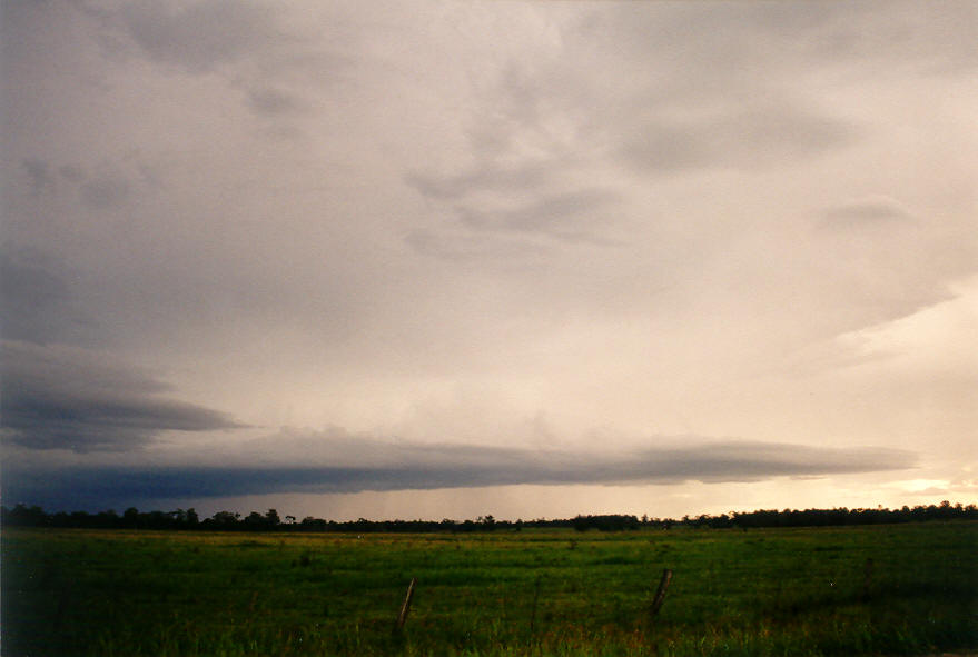 shelfcloud shelf_cloud : Casino, NSW   16 March 2003