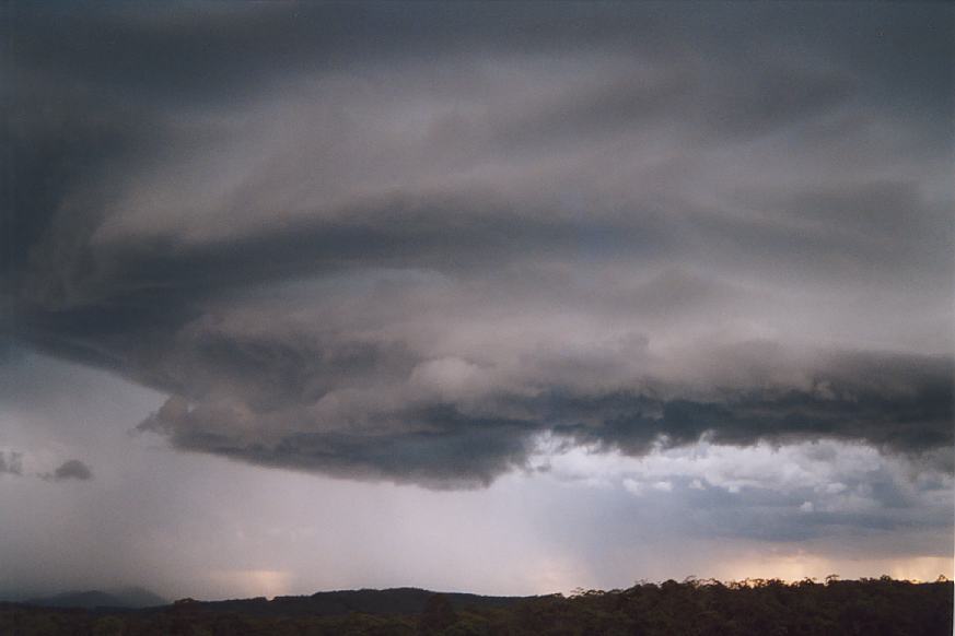 shelfcloud shelf_cloud : N of Karuah, NSW   20 March 2003