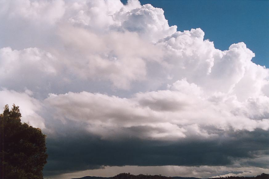 cumulonimbus thunderstorm_base : Ulong, NSW   21 March 2003