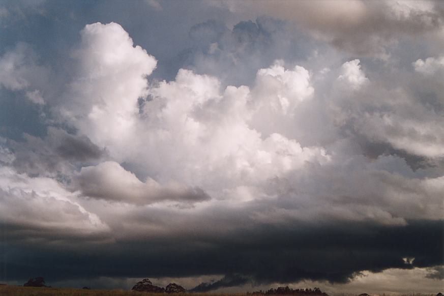 thunderstorm cumulonimbus_incus : Ulong, NSW   21 March 2003