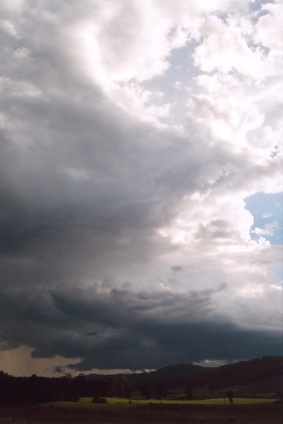 wallcloud thunderstorm_wall_cloud : Ulong, NSW   21 March 2003