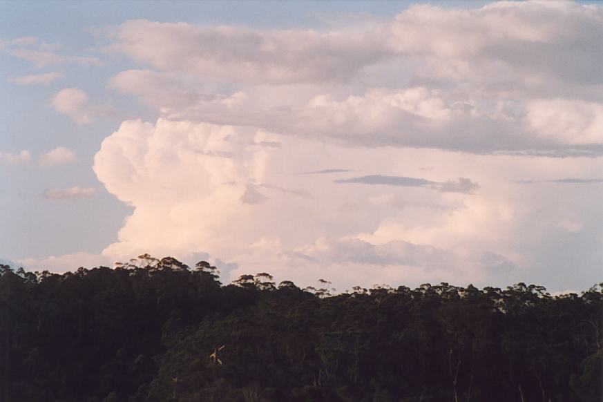 thunderstorm cumulonimbus_incus : Ulong, NSW   21 March 2003