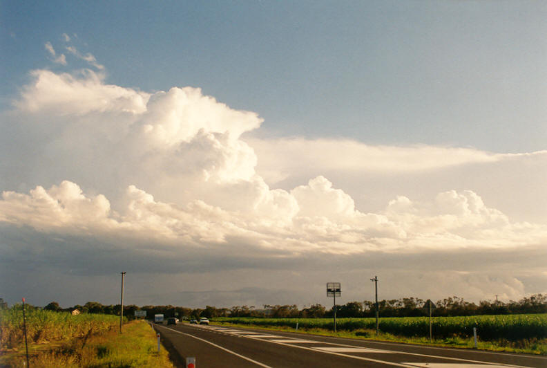 thunderstorm cumulonimbus_calvus : Wardell, NSW   22 March 2003